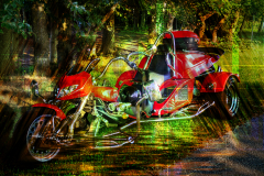 Trike 5