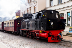 Molli durch Bad Doberan