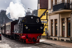 Molli durch Bad Doberan