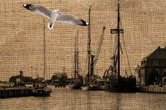 Hafen auf Leinen mit Möwe