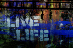 Live Kopf über