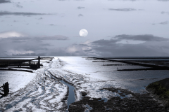Ebbe