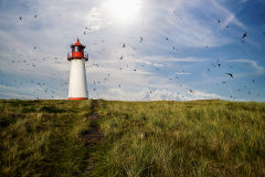 Leuchtturm Sylt