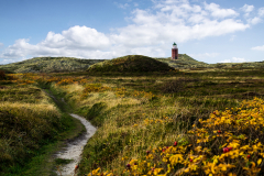 Leutturm  Sylt