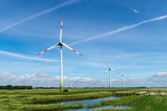 Windräder mit Schafen