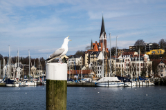 Hafen Flensburg