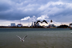 Hafen Wismar