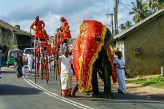 Perahera auf Sri Lanka