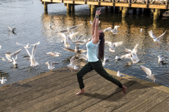 Yoga mit Möwen
