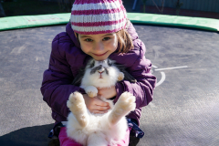 Mit Kaninchen