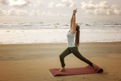 Yoga 3.1