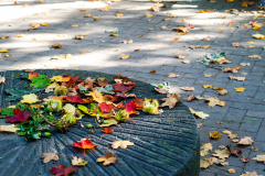 Herbst