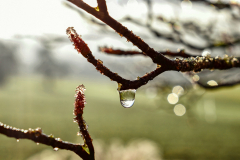Wassertropfen