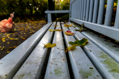 Herbst