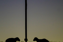 …..stand eine Laterne und steht sie noch davor.....