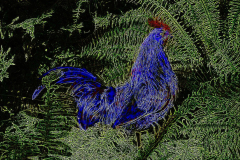 Blauer Hahn