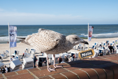 Möwe beim Surf Cap Moin
