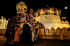 Perahera Sri Lanka