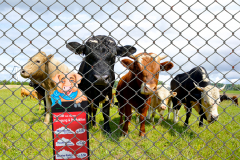 Wir lieben Vegetarier