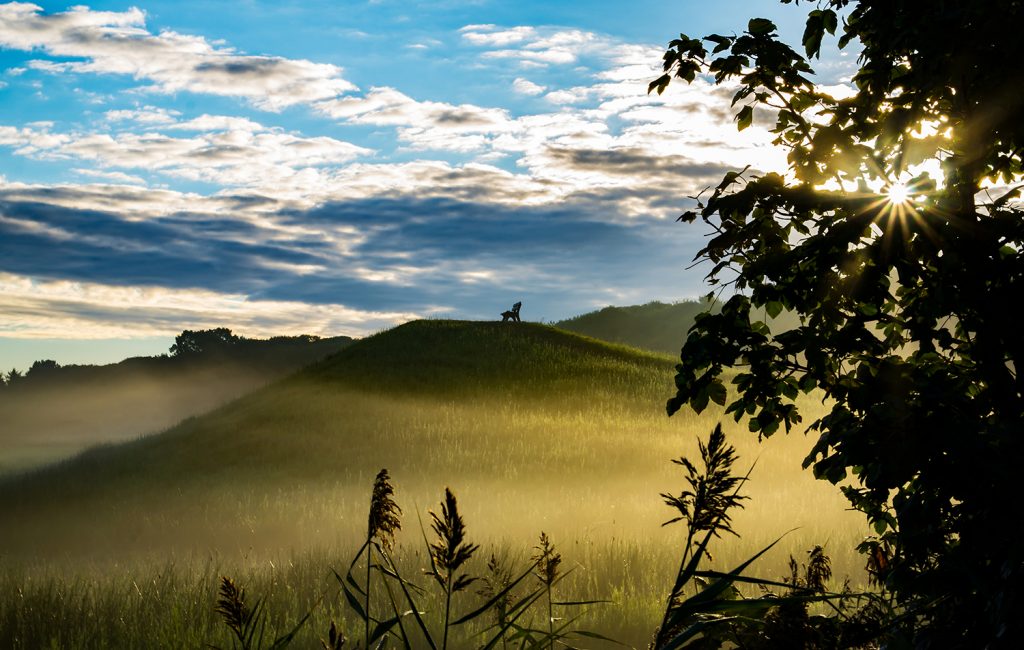 Landschaft und Anderes